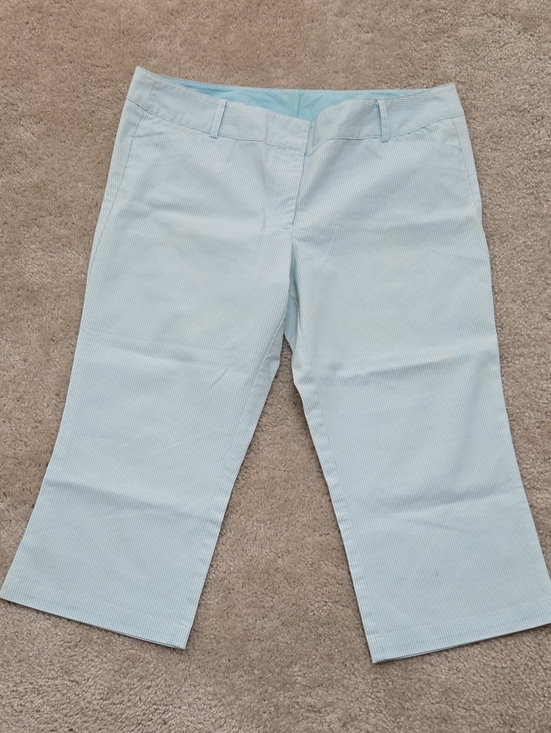Pants - Vintage Light Blue Pinstripe Cropped Pants